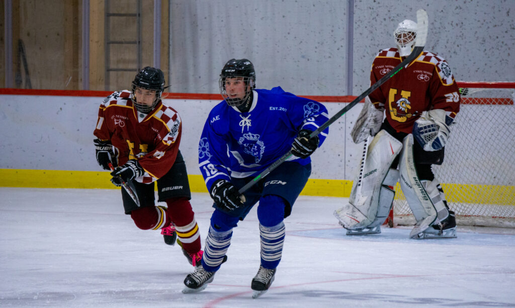 svenska universitetshockeyligan